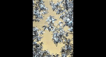 IXXI Blossoming, Angelo Cerantola - 100 x 140 cm - Gratis ophangtool - Grote wanddecoratie en posters - Kleurrijk, Fotografie, Grafisch Ontwerp