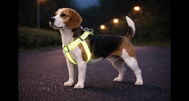 Hondentuig – hondenharnas – Step&Go Fergu Fluo geel M – 35–60 cm – 20 mm breed – nylon – reflecterend – traploos verstelbaar – met trekontlasting