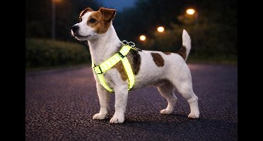 Hondentuig – hondenharnas – Step&Go Fergu Fluo geel S – 25–45 cm – 15 mm breed – nylon – reflecterend – traploos verstelbaar – met trekontlasting