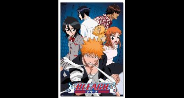 Poster Bleach 61x91,5cm