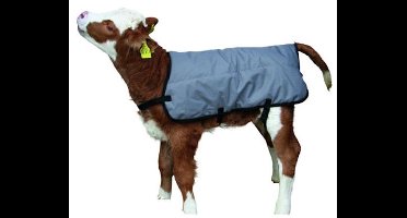 Kerbl Kalverdeken - 80 cm