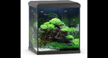 Juwel aquarium vio cube 54 met filter zwart - 54 liter - 41 x 36 x 47 cm