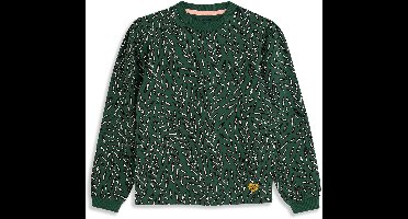 4PRESIDENT Sweater meisjes - Green - Maat 128 - Meisjes trui