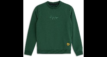 4PRESIDENT Sweater meisjes - Green - Maat 140 - Meisjes trui
