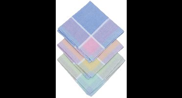 D&L Dames Zakdoeken - Gestreept - 29 x 29cm - 12 Stuks - 100% Katoen Gesatineerd