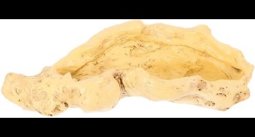 Kunstmatige Boomwortel Succulent Bloempot - Tuinplant Potten Voor Buiten Botanische Tuin Mooie Bloempot DIY3