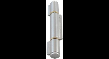 Rvs Laspaumelle 3-delig 100x10mm - Met losse stift