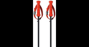 Fischer Rd 13 Carbon Stokken Oranje 135 cm