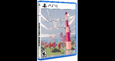 Summertime Madness - PS5