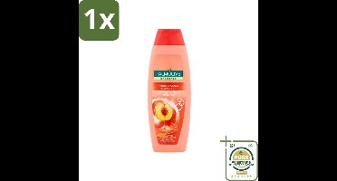 1 x Palmolive - Naturals - 2in1 Shampoo - Perzik - Hydra Balance - 350 ml- Shampoo - Haarverzorging - Hydra Balance - Perzik - 2 In 1 Shampoo