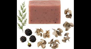 RNCosmetics – Blackberry & Abrikoos Zeep – Fruitige Boost Douchezeep – Natuurlijke Oliën & Vitamine C – Hydraterend, Voedend & Verfrissend – Voor Zijdezachte, Gerevitaliseerde Huid – Handgemaakte Body Bar