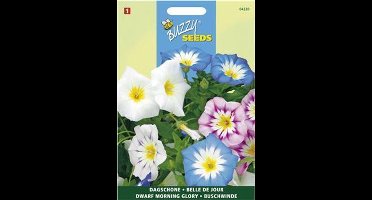 Buzzy Zaden - Driekleurige Winde (Convolvulus tricolor)