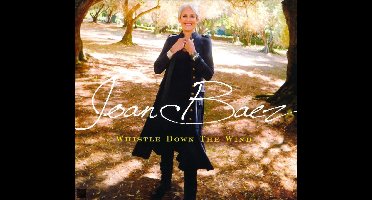 Whistle Down The Wind