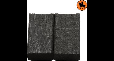 Koolborstelset voor Wacker Convertisseur FU5Z/42 - 12,5x8x22mm