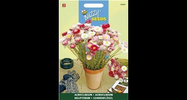 Buzzy - Acrolineum Dubbelbloemig Gemengd