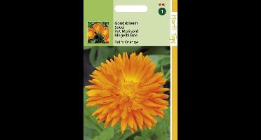 2 stuks Hortitops Calendula officinalis Dubbelbl. Ball s Oranje