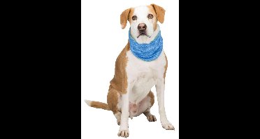 Trixie Koel Bandana Maat - S
