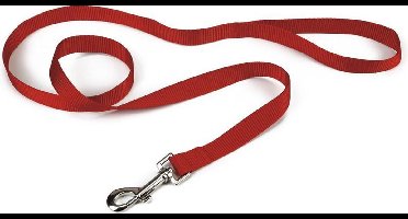 Beeztees - Hondenriem - Nylon - Rood - 100 cm x 10 mm