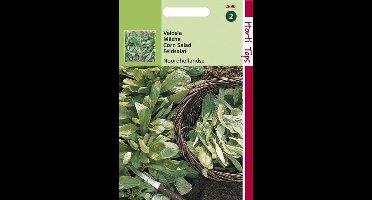 Hortitops Zaden - Veldsla Grote Noordhollandse
