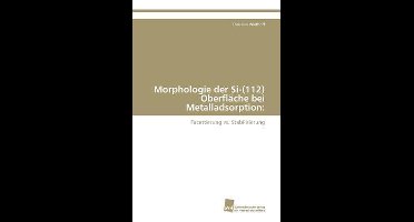 Morphologie der Si-(112) Oberfläche bei Metalladsorption:
