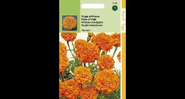 Hortitops Zaden - Tagetes Erecta Hawaii Fl.Pl. Oranje