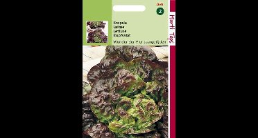 Hortitops Zaden - Kropsla Wonder Van Vier Jaargetijden