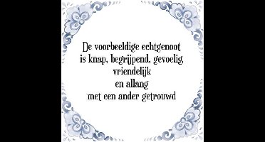 Tegeltje met Spreuk (Tegeltjeswijsheid): De voorbeeldige echtgenoot is knap, begrijpend, gevoelig, vriendelijk en allang met een ander getrouwd + Kado verpakking & Plakhanger