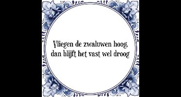 Tegeltje met Spreuk (Tegeltjeswijsheid): Vliegen de zwaluwen hoog, dan blijft het vast wel droog + Kado verpakking & Plakhanger