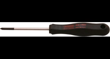 Skandia Schroevendraaier Gr. - PH3