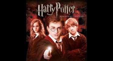 Harry Potter Official 2017 Square Calendar