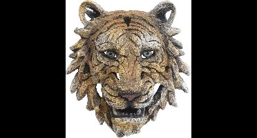 Tijgerhoofd hoofdtrofee 35 cm Deco schedel