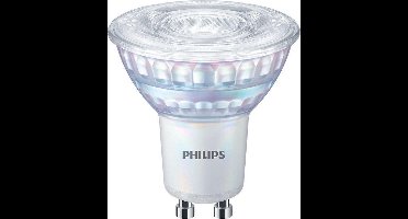 Philips LED Spot (dimbaar)