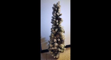 Kerstboom