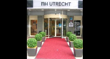 Buxus Bol deluxe kunstplant 60cm - N