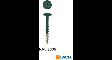 Ivana HPL-plaatschroeven trespaÂ© RVS A2 met TORX TX-20 bit bolkop 12 x 25 mm - 100 stuks