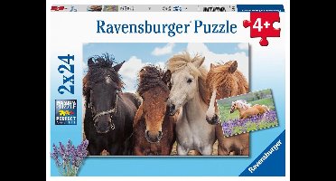 Ravensburger puzzel Paardenliefde - 2 x 24 stukjes - kinderpuzzel