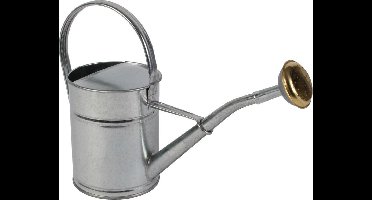 Talen Tools - Gieter - Metaal - 2L - Verzinkt