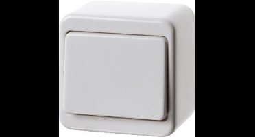 Hager Berker Opbouwschakelaar - 61300649 - E2FQ5