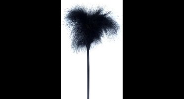 Power Escorts -  Heerlijk irritante Veer - echte Kietelaar -  Feather Tickler - Fetish Power - Zwart - 61-00027 - kleuren verpakking
