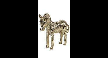 Zebra - Lando M - gold - L21B7H19CM