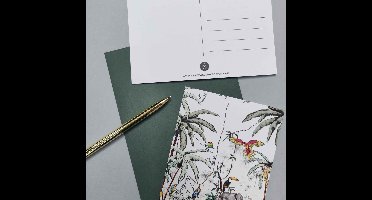 Set 6 Ansichtkaarten - MINI