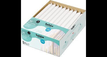 Bolsius Dinerkaars - 290/22 mm - 50 stuks - Wit