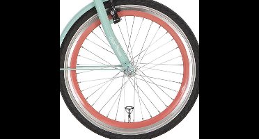 Alpina voorwiel 22 J19DB salomon zink spk