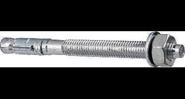 Fischer ankerbout FBZ 10/30 25 st.