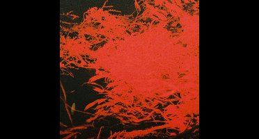 Anthony Naples - In Studio Magic (LP)