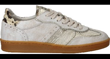 Piedinudi Sneakers - Dames - Beige - Maat:36
