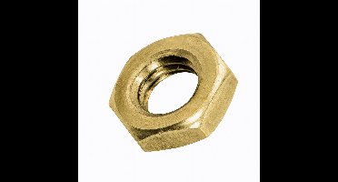 10x M10 moer - gegalvaniseerd - BN125 - Metrisch