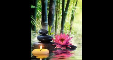 Twisk diamond painting schilderij Zen 40x50 cm - creatieve hobby.