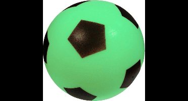Androni Foamvoetbal 20cm Groen