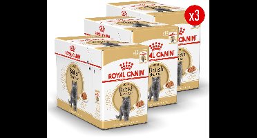 Royal Canin British Shorthair Adult Wet - 36 x 85 g - Katten Natvoer - Voordeelverpakking